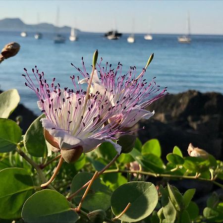 Zaffiro Lavico Rooms Etna Nature Sea Acireale Bagian luar foto