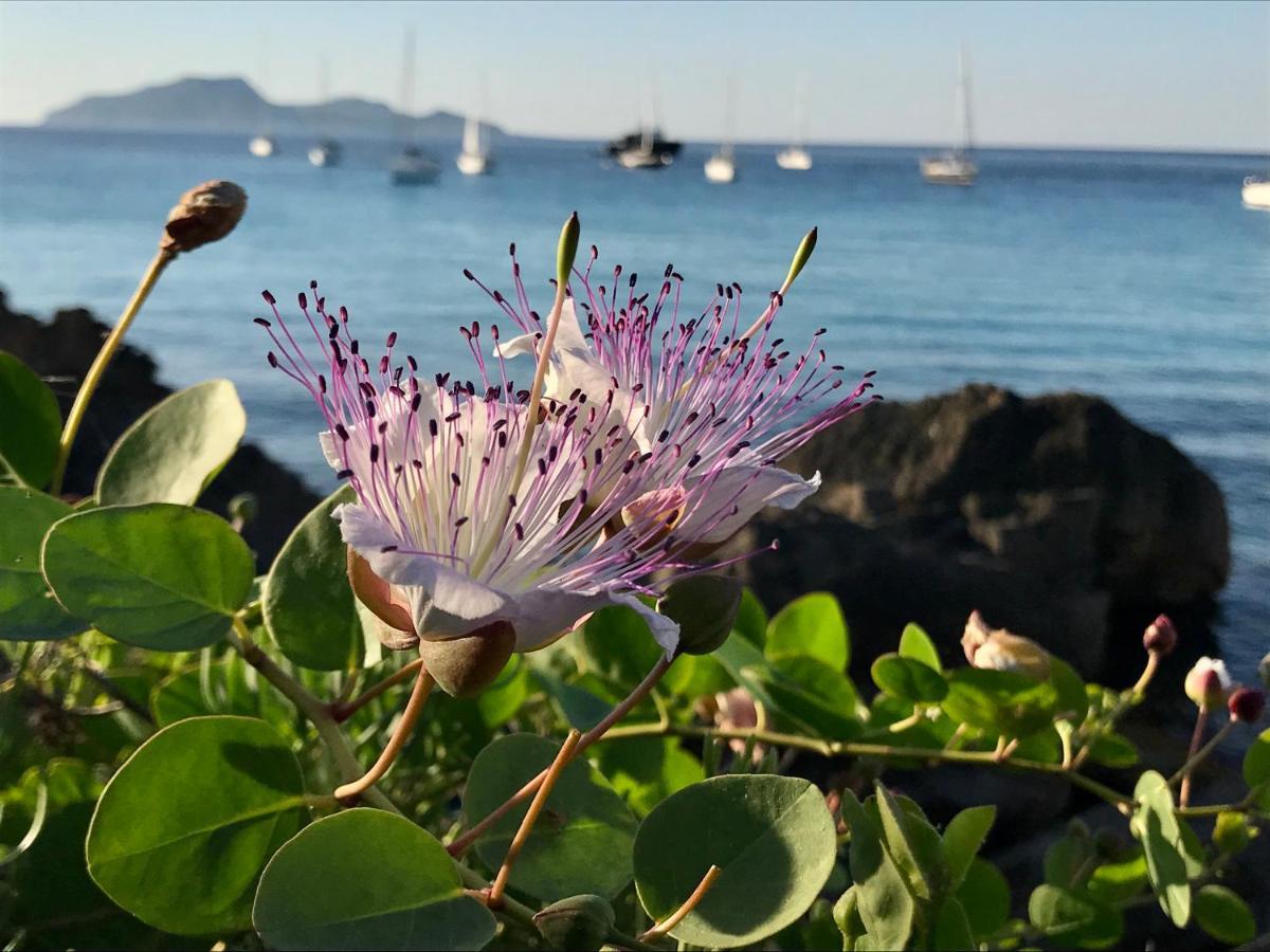 Zaffiro Lavico Rooms Etna Nature Sea Acireale Bagian luar foto